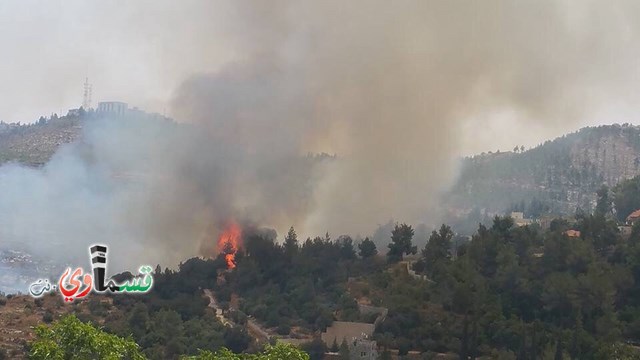القدس - فيديو:  : حريق هائل في إحدى غابات افين سڤير قرب مستشفى هداسا عين كارم وإخلاء منازل